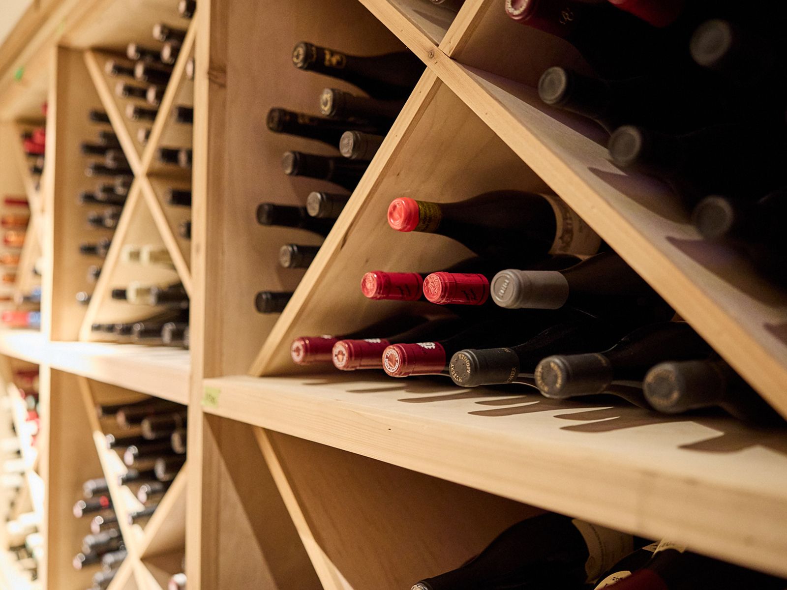 A still life from The Cellar